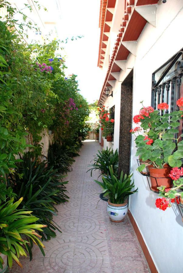 Apartamentos Inter Gandia Playa Exterior photo